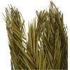 image:imageDeco 79 Dried Plant Palm Leaf Home Decor Natural Foliage Natural Dried Foliage with Feather Inspired Stems Foliage for Decoration 4 x 1 x 43 GreenGreen
