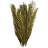image:imageDeco 79 Dried Plant Palm Leaf Home Decor Natural Foliage Natural Dried Foliage with Feather Inspired Stems Foliage for Decoration 4 x 1 x 43 GreenGreen