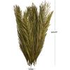image:imageDeco 79 Dried Plant Palm Leaf Home Decor Natural Foliage Natural Dried Foliage with Feather Inspired Stems Foliage for Decoration 4 x 1 x 43 GreenGreen