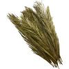 image:imageDeco 79 Dried Plant Palm Leaf Home Decor Natural Foliage Natural Dried Foliage with Feather Inspired Stems Foliage for Decoration 4 x 1 x 43 GreenGreen