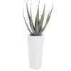 image:imageDeco 79 Faux Foliage Aloe Vera Artificial Plant with Realistic Leaves and White Fiberglass Pot 15 x 14 x 34 GreenGreen
