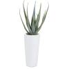 image:imageDeco 79 Faux Foliage Aloe Vera Artificial Plant with Realistic Leaves and White Fiberglass Pot 15 x 14 x 34 GreenGreen