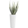image:imageDeco 79 Faux Foliage Aloe Vera Artificial Plant with Realistic Leaves and White Fiberglass Pot 15 x 14 x 34 GreenGreen