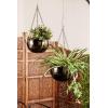 image:imageDeco 79 Metal Indoor Outdoor Wall Planter Indoor Outdoor Hanging Dome Hanging Planter with Chain Set of 2 Plant Hanger 5 7H BlackBlack