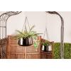 image:imageDeco 79 Metal Indoor Outdoor Wall Planter Indoor Outdoor Hanging Dome Hanging Planter with Chain Set of 2 Plant Hanger 5 7H BlackBlack