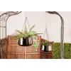image:imageDeco 79 Metal Indoor Outdoor Wall Planter Indoor Outdoor Hanging Dome Hanging Planter with Chain Set of 2 Plant Hanger 5 7H BlackBlack