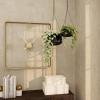 image:imageDeco 79 Metal Indoor Outdoor Wall Planter Indoor Outdoor Hanging Dome Hanging Planter with Chain Set of 2 Plant Hanger 5 7H BlackBlack