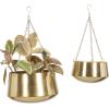 image:imageDeco 79 Metal Indoor Outdoor Wall Planter Indoor Outdoor Hanging Dome Hanging Planter with Chain Set of 2 Plant Hanger 5 7H BlackGold