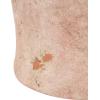 image:imageDeco 79 Ceramic Terracotta Jug Vase with Handles 9 x 9 x 16 PinkPink