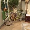 image:imageDeco 79 Metal Bike Indoor Outdoor Plantstand Indoor Outdoor Plant Shelf with Basket and Saddle Bag Planters Plant Stand 63 x 22 x 35 GreenYellow