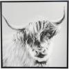 image:imageDeco 79 Canvas Bull Shaded Framed Wall Art with Black Frame 37 x 1 x 37 White