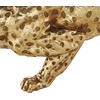 image:imageDeco 79 Resin Leopard Decorative Sculpture Laying Home Decor Statue with Textured Spots Accent Figurine 8 x 4 x 4 GoldGold